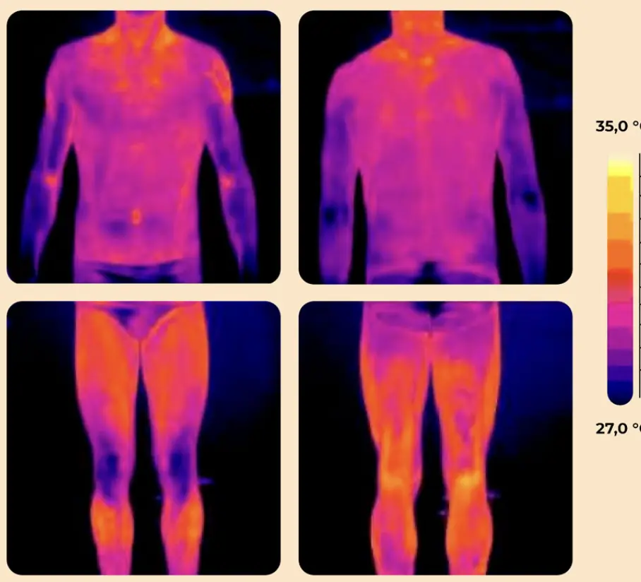 Thermography 4 panels
